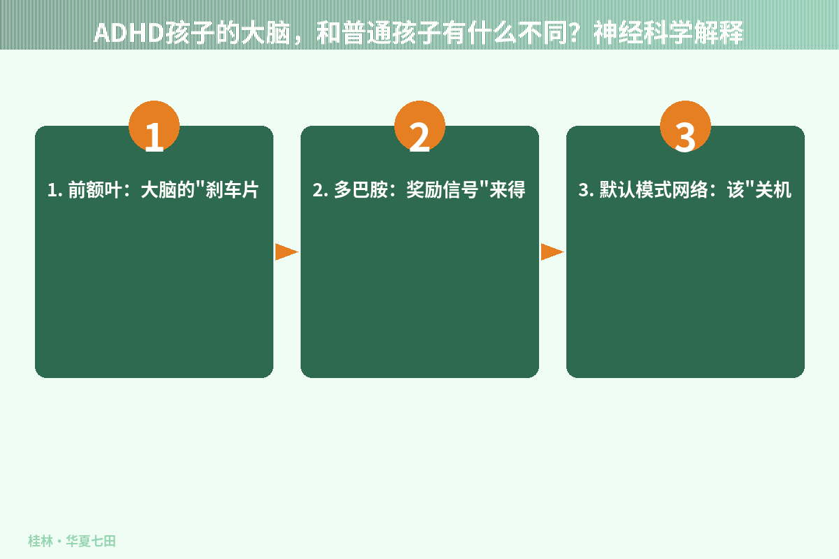ADHD孩子的大脑，和普通孩子有什么不同？神经科学解释