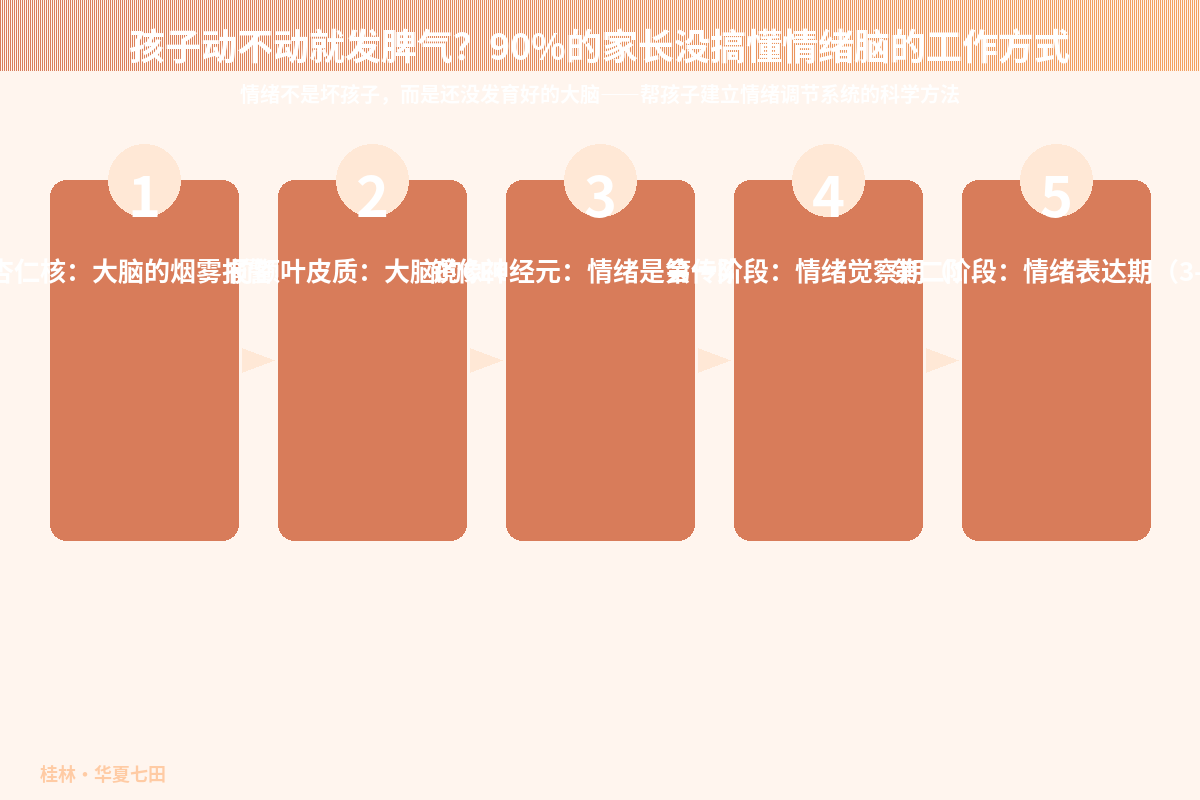 孩子动不动就发脾气?90%的家长没搞懂情绪脑的工作方式
