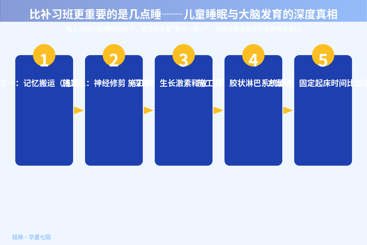 比补习班更重要的是几点睡——儿童睡眠与大脑发育的深度真相