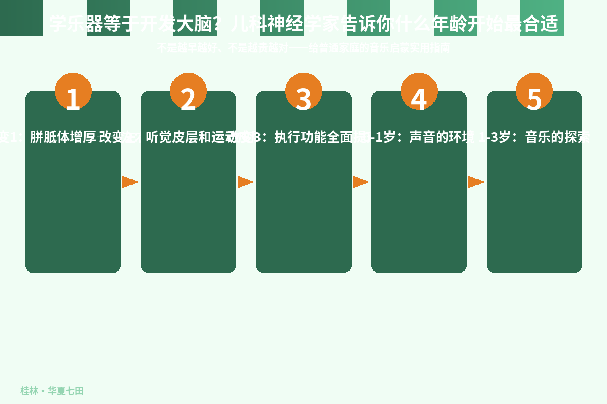 学乐器等于开发大脑？儿科神经学家告诉你什么年龄开始最合适