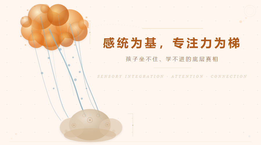 感统为基，专注力为梯——孩子坐不住、学不进的底层真相