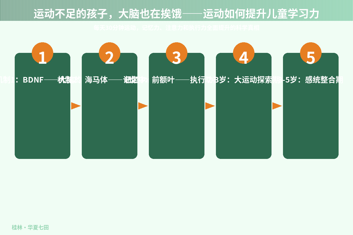 运动不足的孩子，大脑也在挨饿——运动如何提升儿童学习力