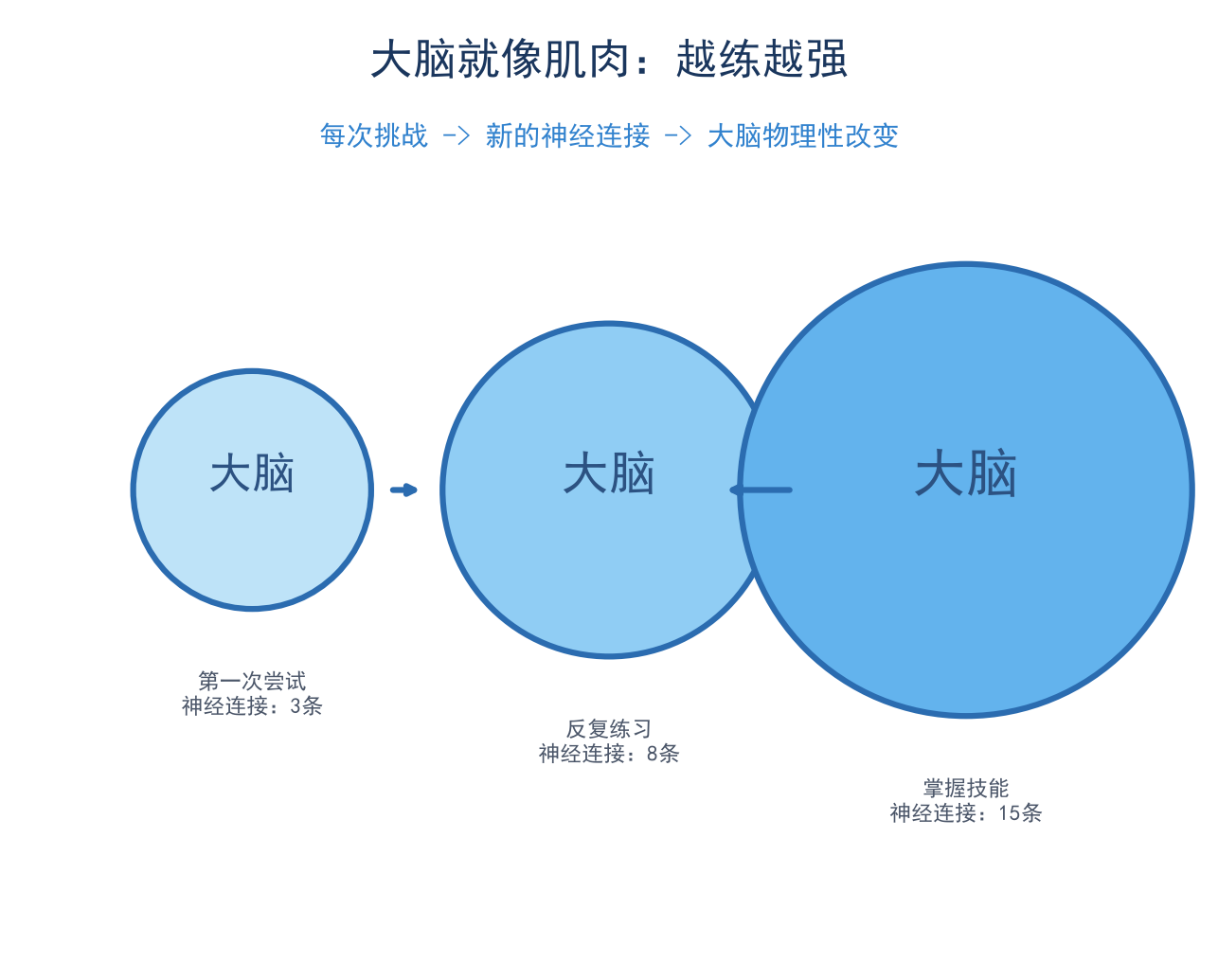 大脑像肌肉示意图