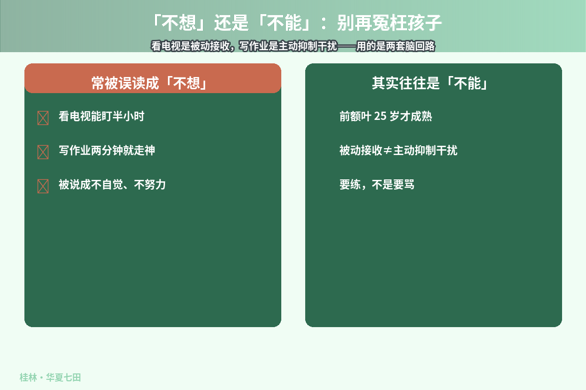 场景示意图
