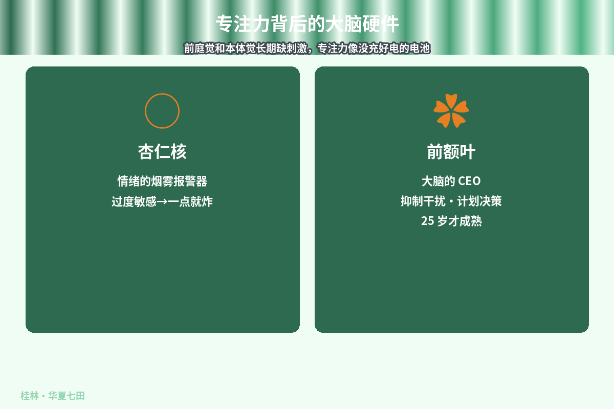 场景示意图