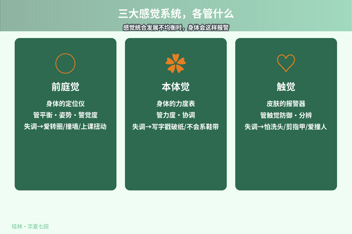 场景示意图